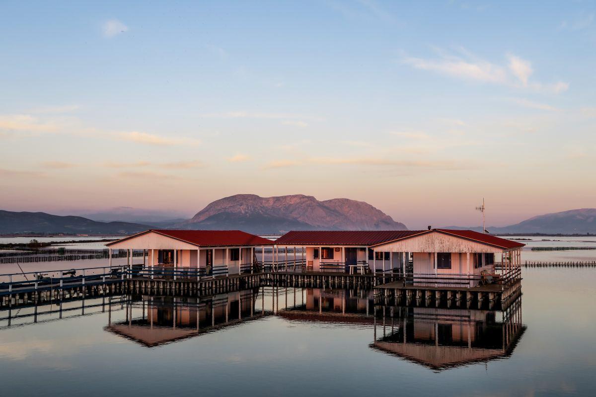 我如何靠每月20美元的技术栈运营多家月均收入1万美元的公司